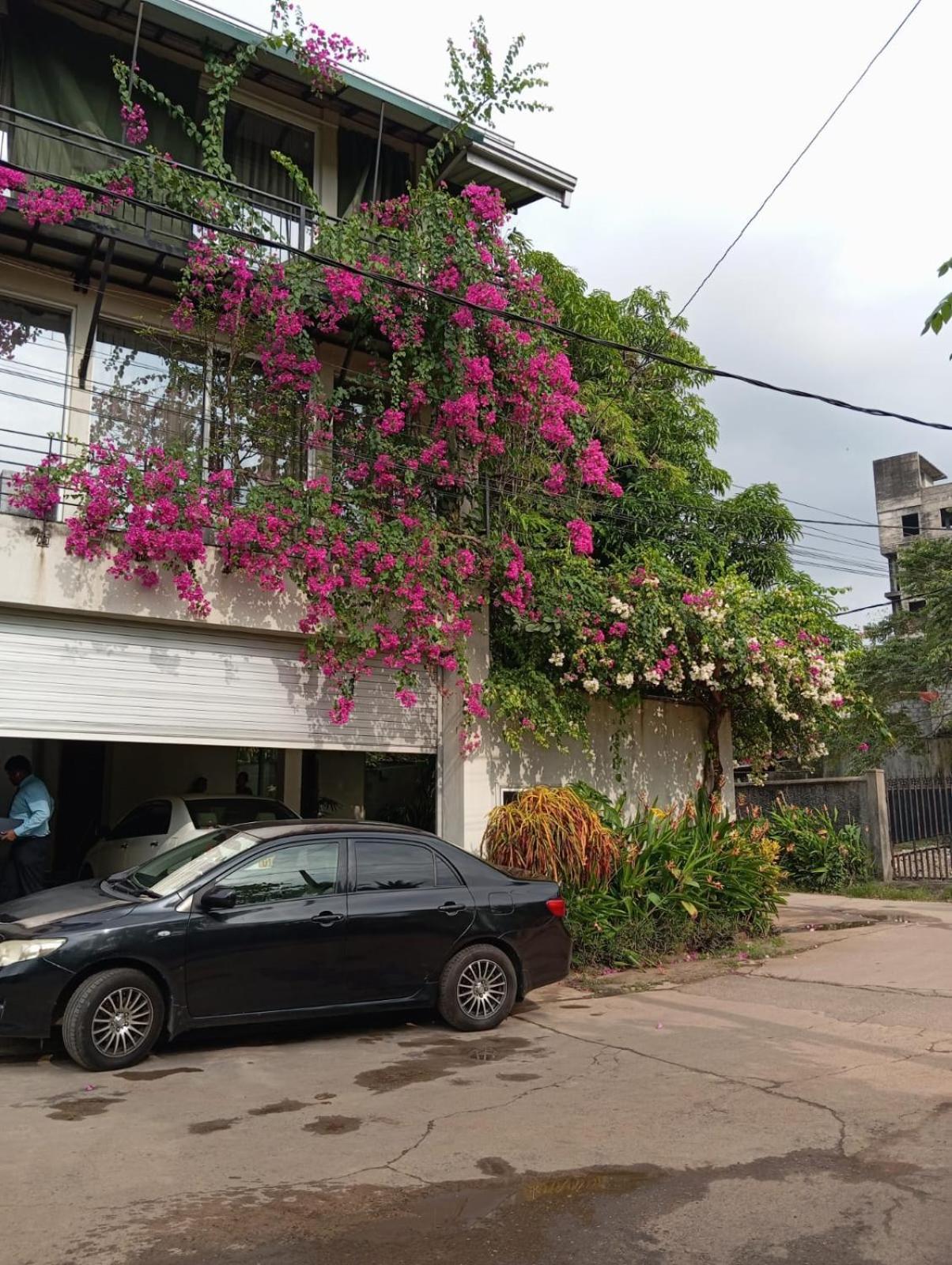Heritage Homestay